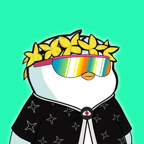drk's PFP: a penguin with a yellow flower crown, a rainbow visor and a black star-print shirt